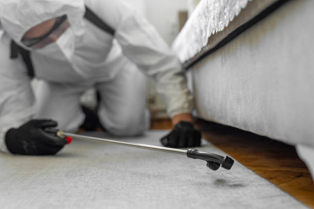 Professional Bed Bug Control technician working in Hampton Beach, NH