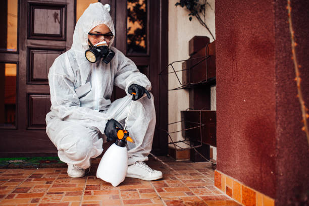 Reliable Bed Bug Control contractor in Hampton Beach, NH by Nex Pest Control