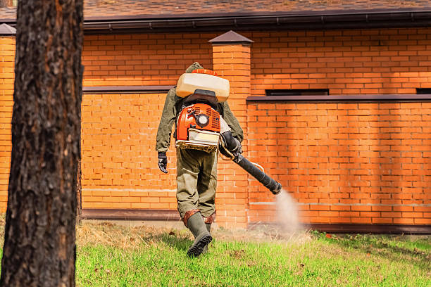 Trusted Bed Bug Control service in Hampton Beach, NH - Nex Pest Control